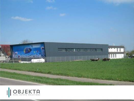 Produktionshalle zur Miete 1.141 m² Lagerfläche Steinberg Staig 89195