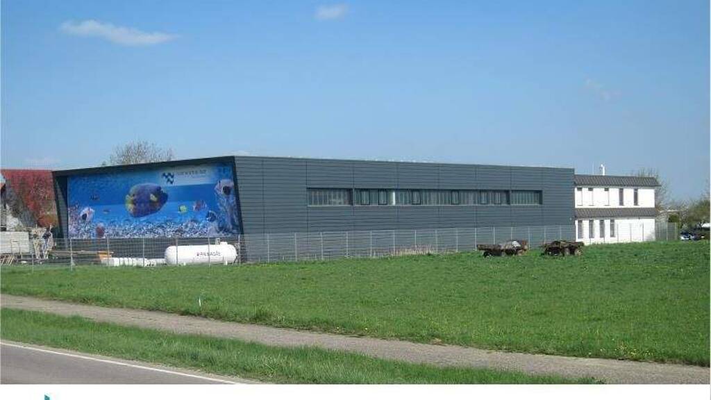 Produktionshalle zur Miete 1.141 m² Lagerfläche Steinberg Staig 89195