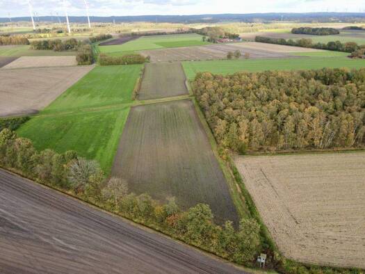 Land-/Forstwirtschaft zum Kauf 256.113 € 23.283 m² Grundstück Voltlage Voltlage / Höckel 49599