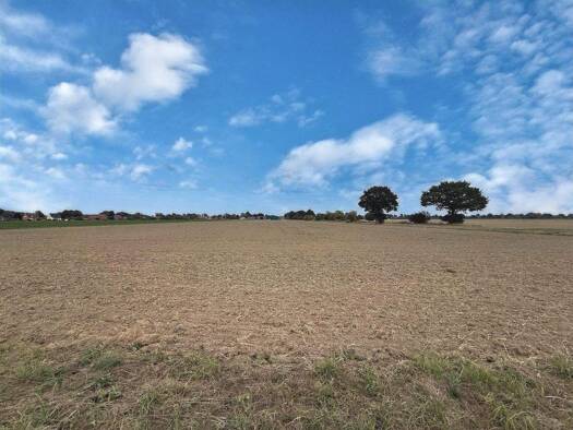 Land-/Forstwirtschaft zum Kauf 524.000 € 41.758 m² Grundstück Stöckendrebber Neustadt 31535