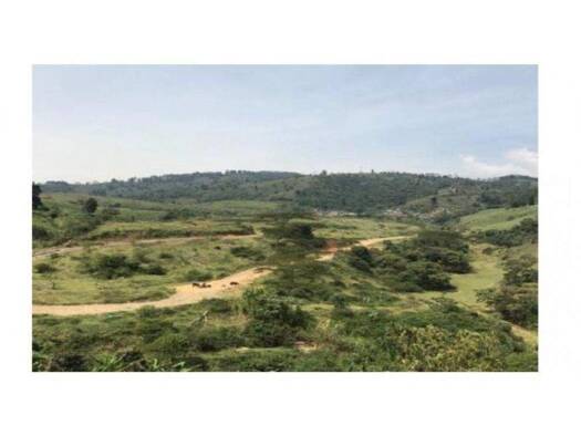 Grundstück zum Kauf 23.129.600 € Caldas