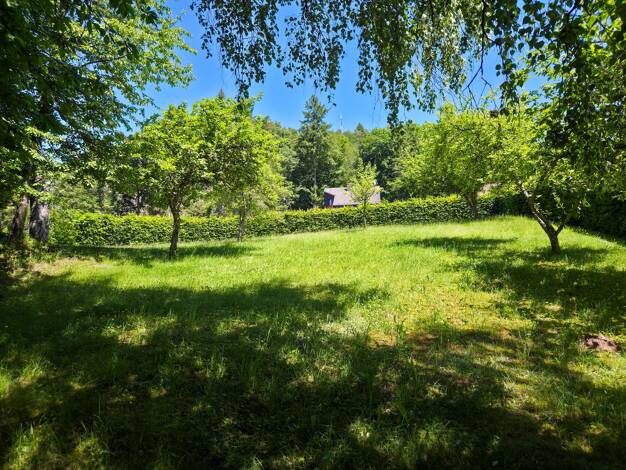 Grundstück zum Kauf 140.400 € 780 m² Grundstück Bollendorf Bollendorf 54669