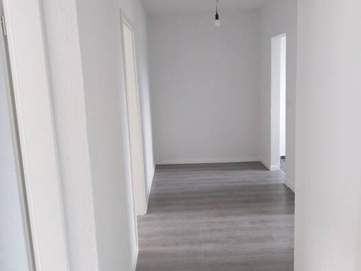 Wohnung zur Miete 348 € 3 Zimmer 58 m² frei ab sofort Ostrau Ostrau 04749