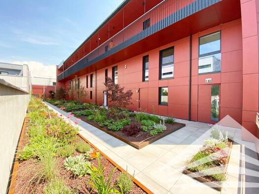 Wohnung zur Miete - Erstbezug 904 € 2,5 Zimmer 71,5 m² Carlonegasse 10a Kleinmünchen Linz 4030