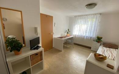 Wohnung zur Miete Wohnen auf Zeit 740 € 1 Zimmer 23 m² frei ab 28.05.2030 Am Sportplatz 0 Hochdorf 73269