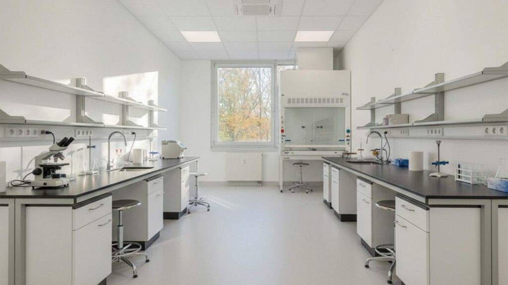 Bürofläche zur Miete 640 m² Bürofläche Stresemannallee 4B Hammfeld Neuss 41460