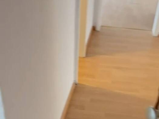 Wohnung zur Miete 600 € 1 Zimmer 22 m² Geschoss EG/5 frei ab sofort Weil am Rhein 79576