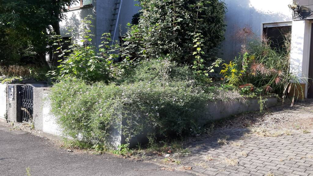 Einfamilienhaus zur Versteigerung 500.000 € 9 Zimmer 160 m² 876 m² Grundstück frei ab sofort Im Tal 16 Bronnamberg Zirndorf 90513