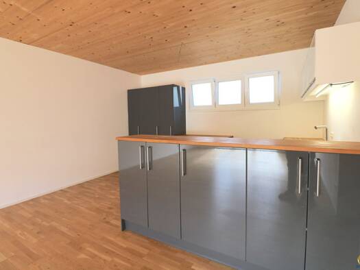 Wohnung zum Kauf 425.000 € 3,5 Zimmer 93,3 m² frei ab 01.10.2026 Steyregg 4221