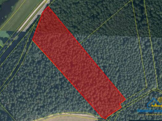 Land-/Forstwirtschaft zum Kauf 58.000 € 14.456 m² Grundstück Neunburg Neunburg vorm Wald 92431