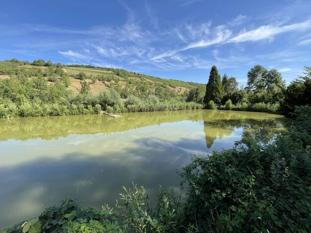 Land-/Forstwirtschaft zum Kauf 8.293 m² Grundstück Unterbalbach Lauda-Königshofen 97922