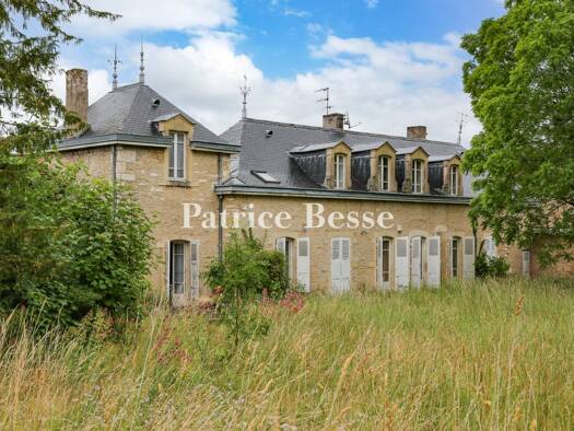 Einfamilienhaus zum Kauf 975.000 € 9 Zimmer 460 m² 25.131 m² Grundstück Garibaldi Chalon-sur-Saône 71100