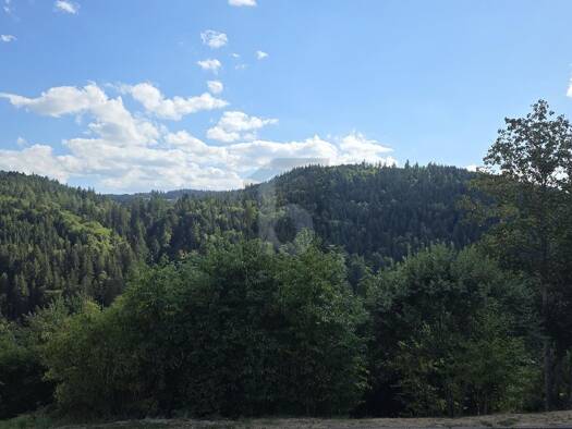 Grundstück zum Kauf 149.000 € 781 m² Grundstück Stadtgebiet Triberg im Schwarzwald 78098