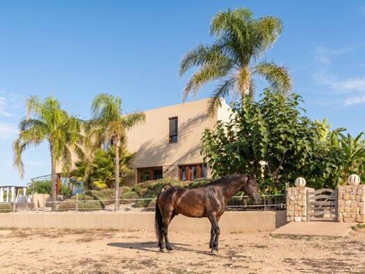 Bauernhaus zum Kauf 2.950.000 € 4 Zimmer 344 m² 17.379 m² Grundstück Montuïri 07230