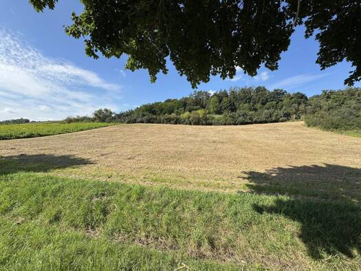 Land-/Forstwirtschaft zum Kauf 71.253 € 5.481 m² Grundstück Weng 84187
