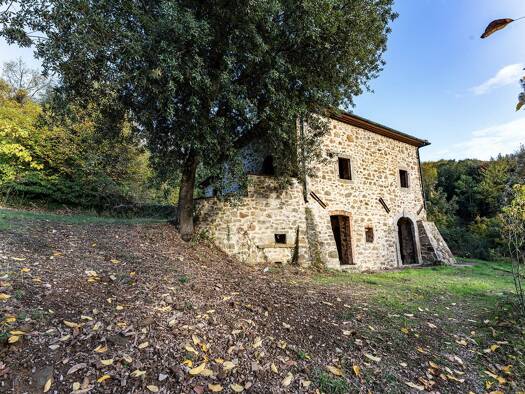 Bauernhaus zum Kauf 230.000 € 5 Zimmer 270 m² 70.000 m² Grundstück frei ab sofort Santa Fiora