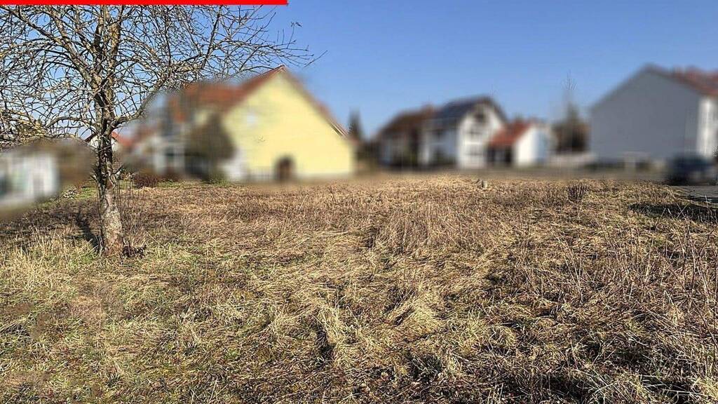 Grundstück zum Kauf 249.000 € 699 m² Grundstück frei ab sofort Erlenbach 63906