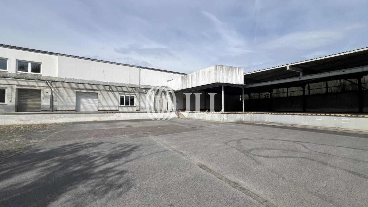 Lagerhalle zur Miete provisionsfrei 6,50 € 2.124 m²<br/>Lagerfläche ab 724 m²<br/>Teilbarkeit Braunsfeld Köln 50825