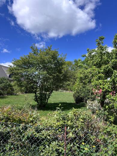Bungalow zum Kauf 230.000 € 2.133 m² Grundstück Mulsum Kutenholz 27449