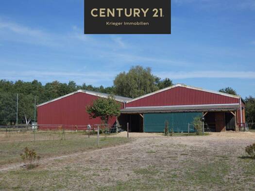 Einfamilienhaus zum Kauf 649.000 € 5 Zimmer 150 m² 30.000 m² Grundstück Prezelle 29491