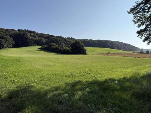 Land-/Forstwirtschaft zum Kauf 159.000 € 26.100 m² Grundstück Zusmarshausen 86441