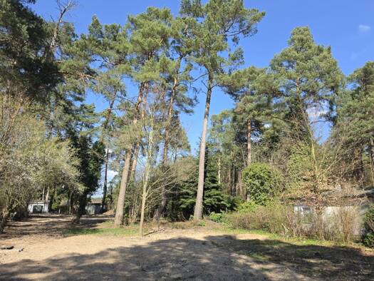 Grundstück zum Kauf 280.000 € 1.370 m² Grundstück Zühlsdorf 16515