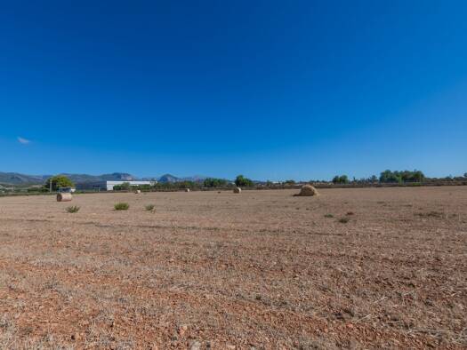 Grundstück zum Kauf provisionsfrei 360.000 € Santa Maria del Camí 07320