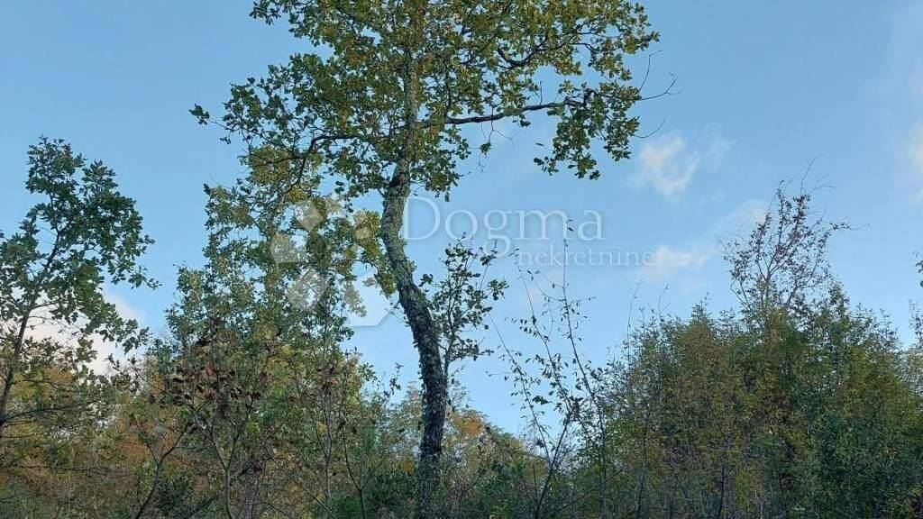 Land-/Forstwirtschaft zum Kauf 130.000 € Sveti Lovrec