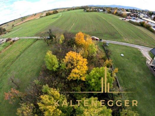 Grundstück zum Kauf 155.000 € 786 m² Grundstück Würflach 2732