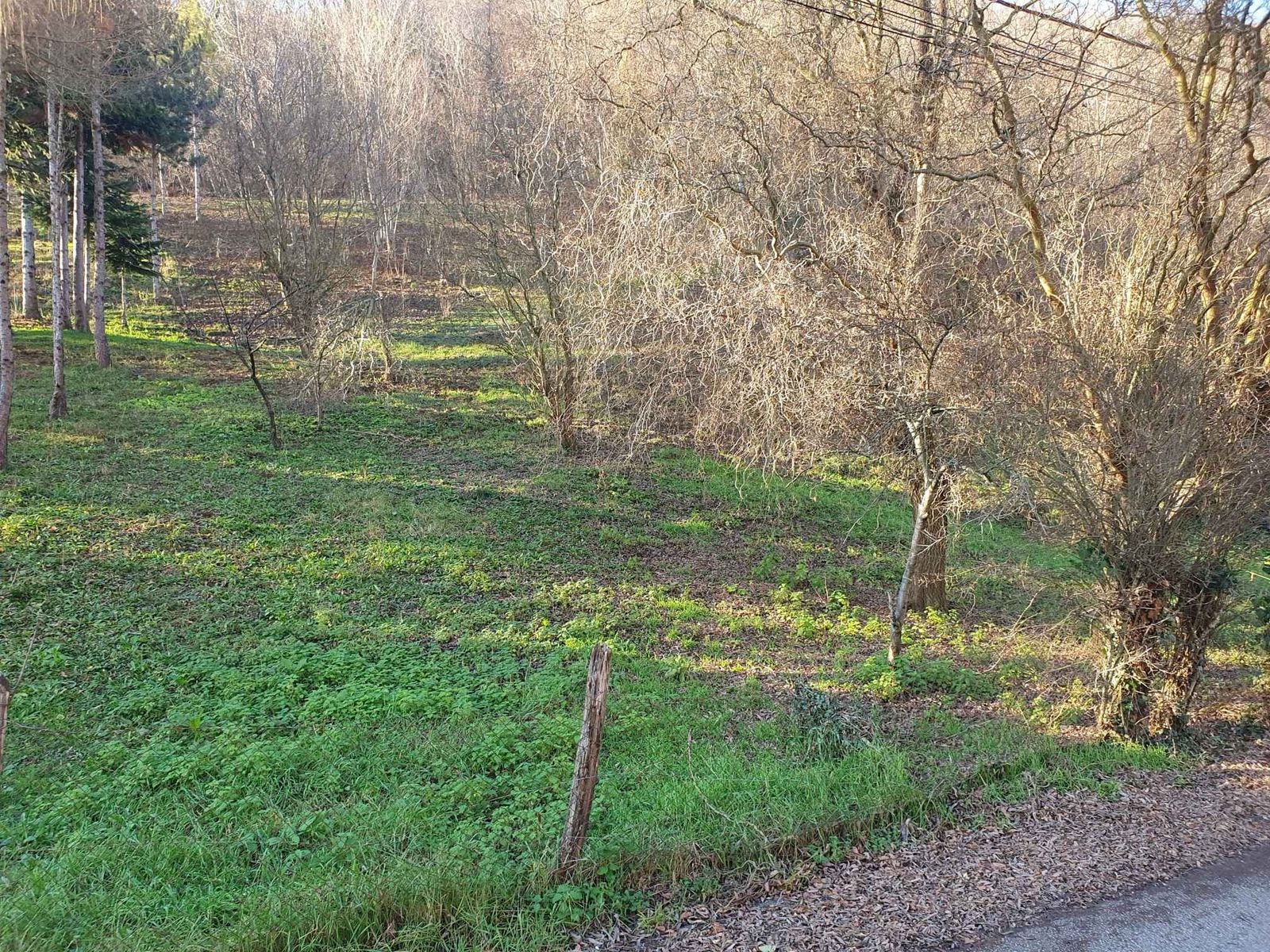 Land-/Forstwirtschaft zum Kauf 80.000 € Ulica Dubravica Gornji Stenjevec