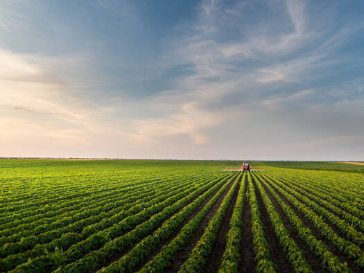 Land-/Forstwirtschaft zum Kauf 68.310 € 7.590 m² Grundstück Straubing 94315