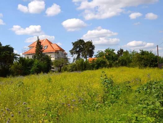 Villa zur Miete 3.400 € 191 m² 630 m² Grundstück frei ab sofort Eltersdorfer Straße 30 Eltersdorf Erlangen 91058