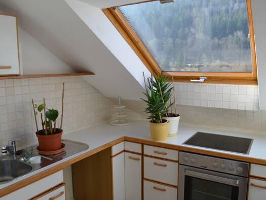 Wohnung zur Miete 400 € 2 Zimmer 50 m² Calmbach Bad Wildbad 75323