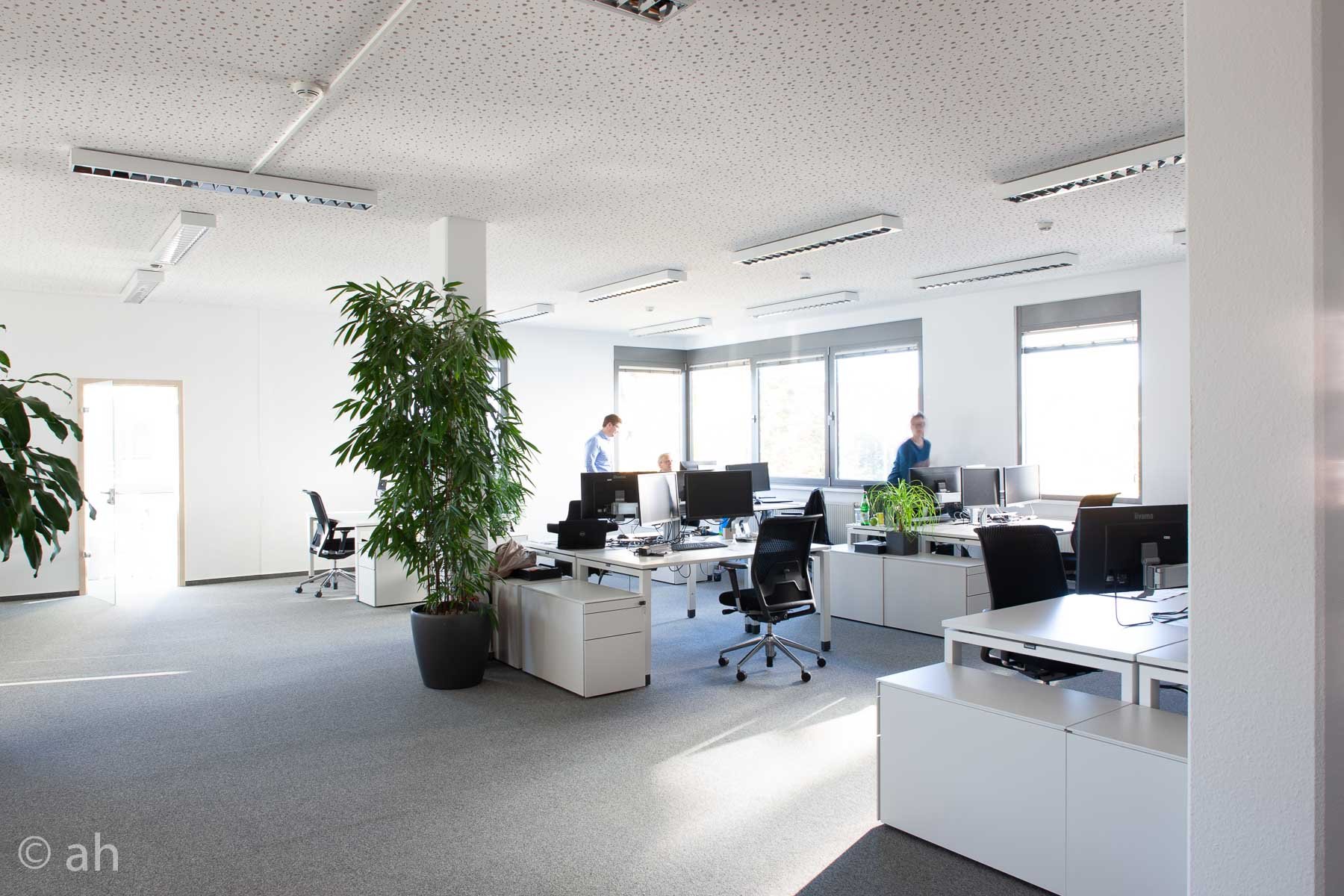 Bürofläche zur Miete 2.500 m²<br/>Bürofläche ab 500 m²<br/>Teilbarkeit Europaallee 41 Nördlich der Gut-Heim-Str. Kaiserslautern 67657