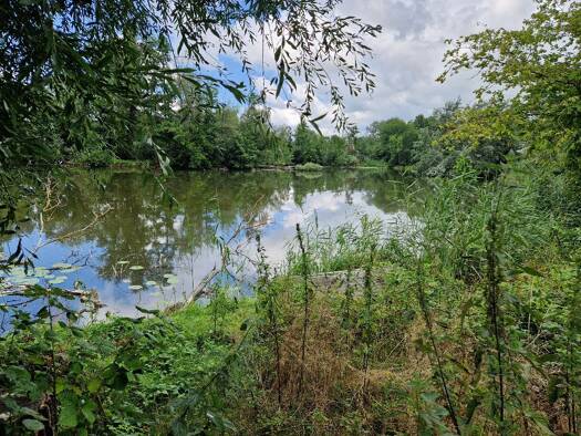 Freizeitgrundstück zum Kauf 12.000 € 300 m² Grundstück Seeblickweg 35 gegenüber Ketzin Ketzin/Havel 14669