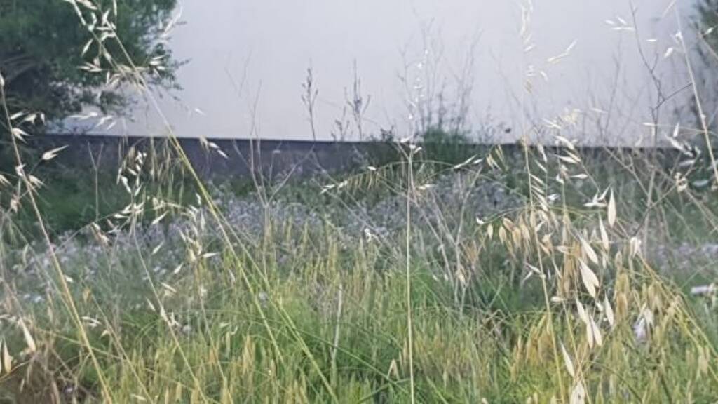 Haus zum Kauf 85.000 € 3 Zimmer 400 m² Grundstück San Lorenzo