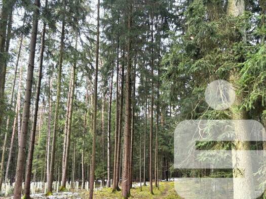 Land-/Forstwirtschaft zum Kauf 27.000 € 8.890 m² Grundstück Weißenburg Weißenburg i. Bay. 91781