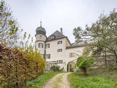 Schloss zum Kauf 34 Zimmer 720 m² 65.608 m² Grundstück Neueglofsheim Thalmassing 93107