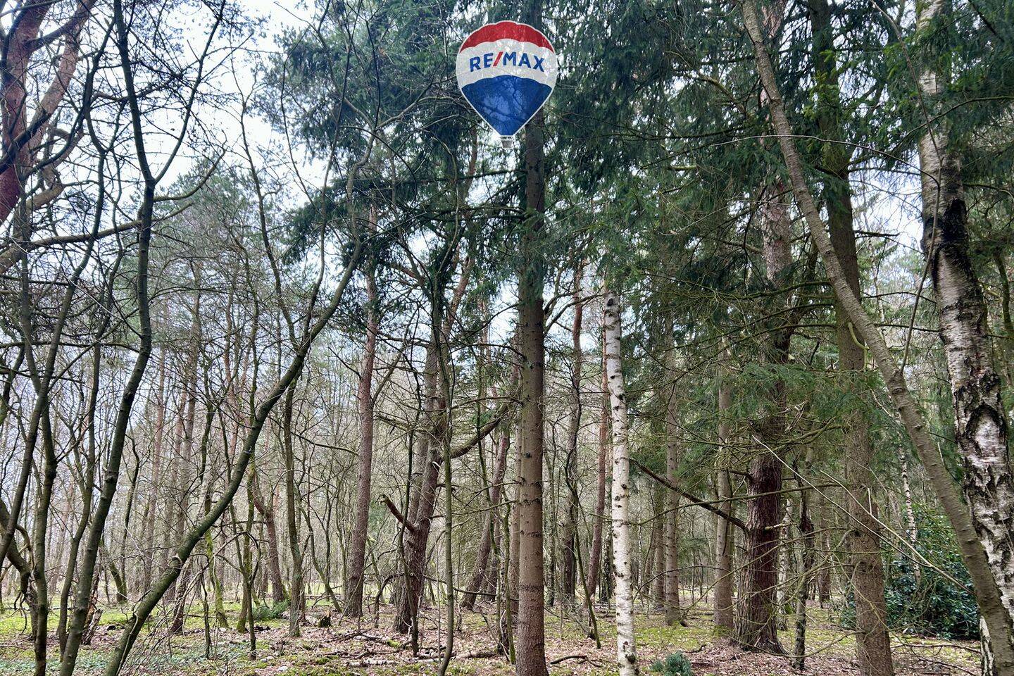 Land-/Forstwirtschaft zum Kauf - Ansicht 6