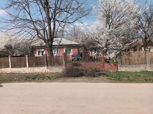 Einfamilienhaus zum Kauf 200.000 € 4 Zimmer 100 m² 1.800 m² Grundstück Brănești Pasărea 077032