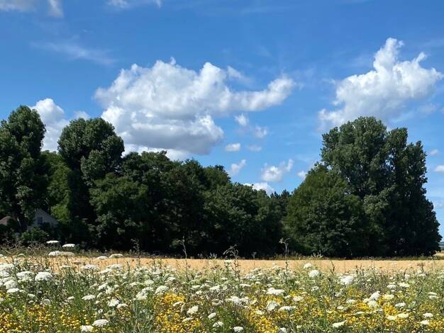 Einfamilienhaus zum Kauf 750.900 € 5 Zimmer 162 m² 800 m² Grundstück Nierst Meerbusch 40668