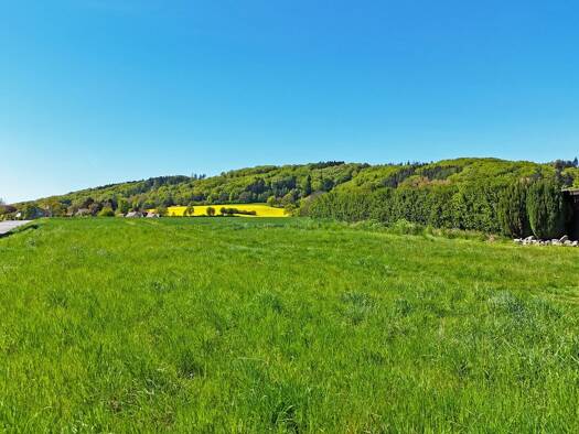 Grundstück zum Kauf 102.000 € 916 m² Grundstück Schwenningdorf Rödinghausen 32289