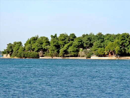 Land-/Forstwirtschaft zum Kauf 1.400.000 € 4.000 m² Grundstück Eubia