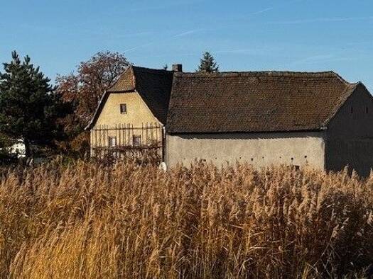 Haus zum Kauf 65.000 € 4 Zimmer 90 m² 300 m² Grundstück frei ab sofort Am Brauteich 4 Pomßen Parthenstein 04668