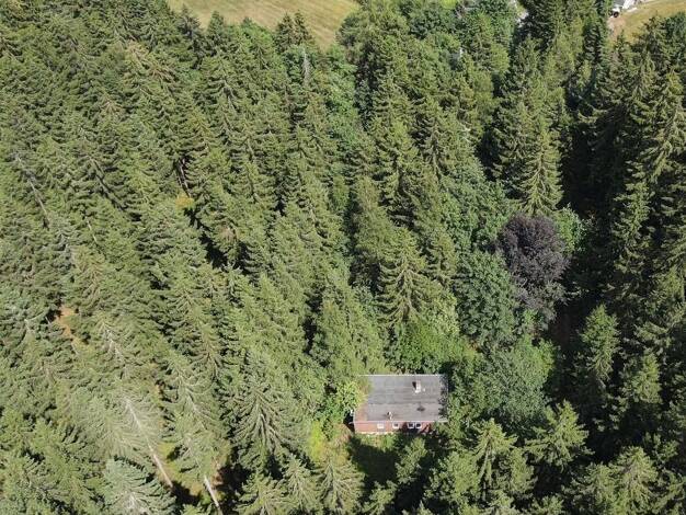 Einfamilienhaus zum Kauf 92.000 € 1 Zimmer 80 m² 2.500 m² Grundstück Gerlas Bad Steben 95138