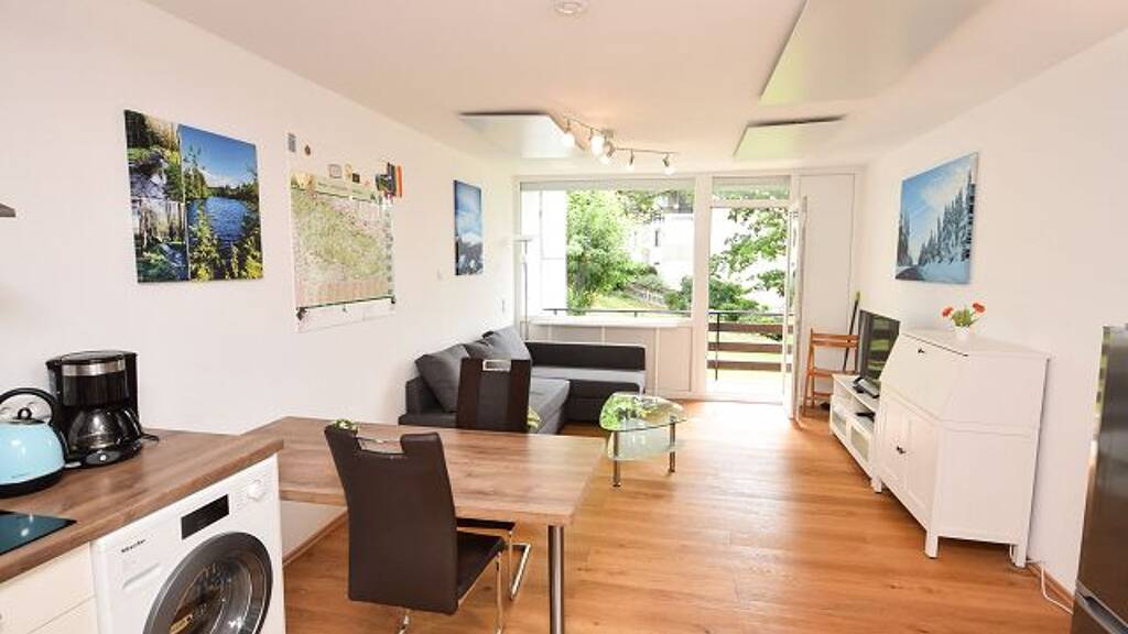 Wohnung zum Kauf 54.000 € 1,5 Zimmer 38 m² St. Andreasberg Sankt Andreasberg 37444