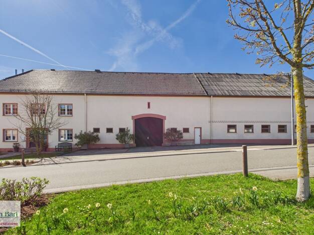 Bauernhaus zum Kauf 780.000 € 6 Zimmer 188 m² 4.000 m² Grundstück Freudenburg Freudenburg 54450