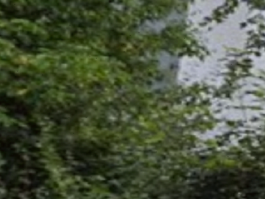 Studio zur Miete 450 € 1 Zimmer 30 m² frei ab sofort Breslauer Straße 2 Rottenburg Rottenburg am Neckar 72108