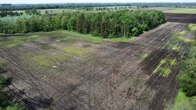 Land-/Forstwirtschaft zum Kauf provisionsfrei 350.000 € Vörden Neuenkirchen-Vörden 49434