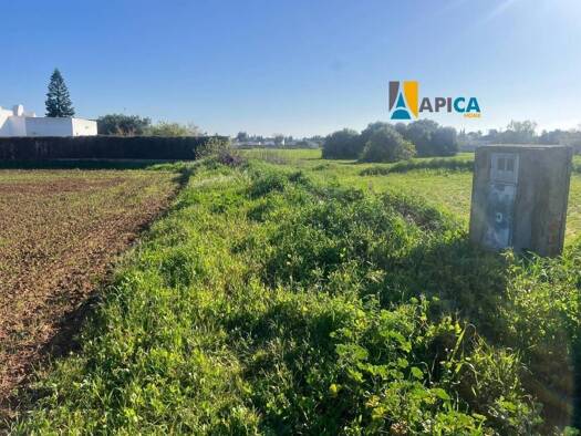 Acker-/Waldstück zum Kauf 125.000 € Conil de la Frontera 11149